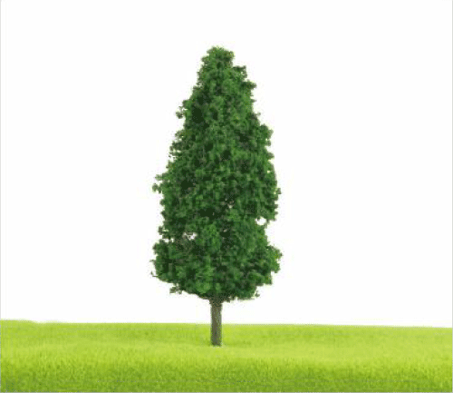 TL01 Columnar Shaped Trees TL01 Columnar Shaped Trees