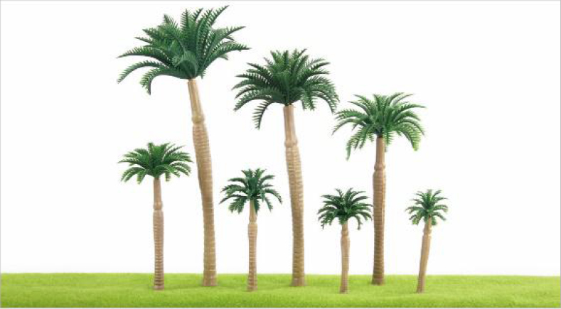 TLP04 Roystonea regia (H.B.K) Cook TLP04 Roystonea regia (H.B.K) Cook