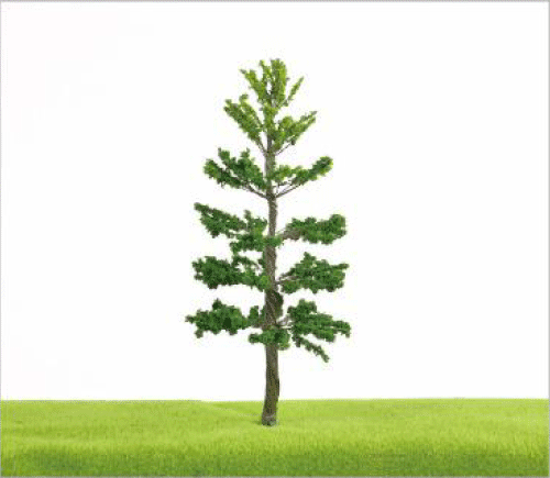 TLS03 Oval Shaped Trees Oval Shaped Trees TLS03