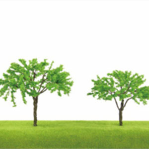 TLS08 Umbrella Shaped Trees (1)