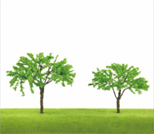 TLS08 Umbrella Shaped Trees (1)